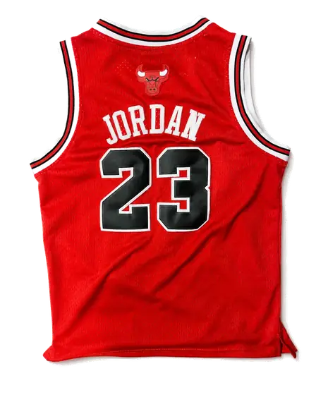 Nike Chicago Bulls Michael Jordan #23 Jersey back